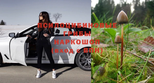 ПСИЛОЦИБИНОВЫЕ ГРИБЫ Приозерск