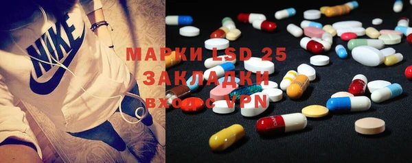 стаф Алексин