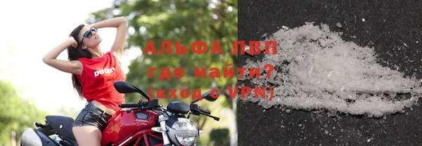 стаф Алексин