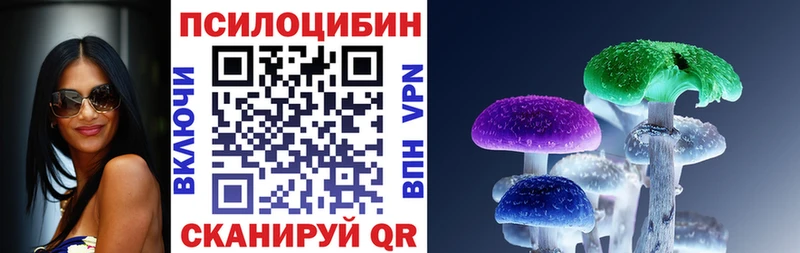 Галлюциногенные грибы Cubensis  наркотики  Кола 